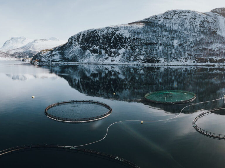 Sertion stärker sin position inom kritisk vatteninfrastruktur i Norge genom förvärvet av Aqua &amp; Care